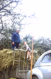 RogerB et LaurentB aux Cornées (hameau au dessus de Aix en Othe) faisant les foins